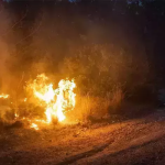 Fires continue to blaze near Jerusalem amid 'national emergency'