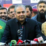 No political motive behind India match, says Mohsin Naqvi