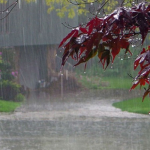 Rain and Thunderstorms alert for Karachi
