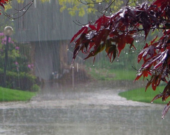 Rain, thunderstorms to lash Pakistan