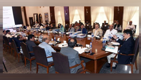 Sindh cabinet greenlights digital reforms to streamline business registration