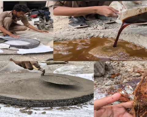 Aligarh students create eco-friendly coconut shell covers