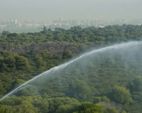 Western Europe records hottest June ever as climate Change fuels extreme heatwaves