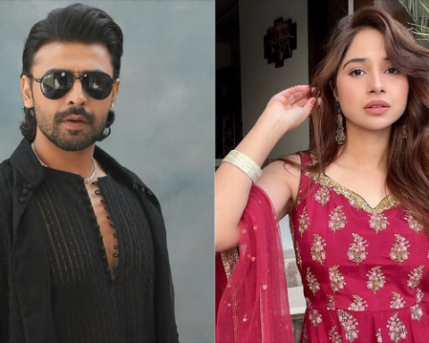 Farhan Saeed, Sabeena Farooq criticize Indian media for irresponsible reporting