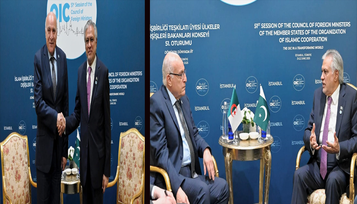 Attaf holds talks with FM Ishaq Dar in Istanbul