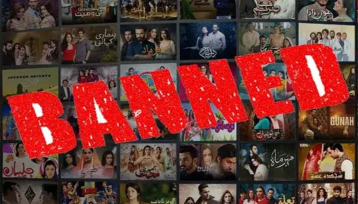 India quietly restricts access to Pakistani dramas on Netflix