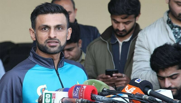 Malik resigns as domestic cricket mentor