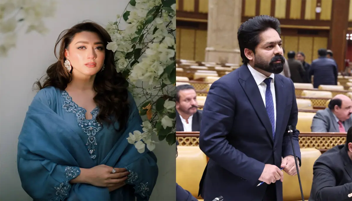 Momina Iqbal, Saqib Chadhar appear before NCCIA