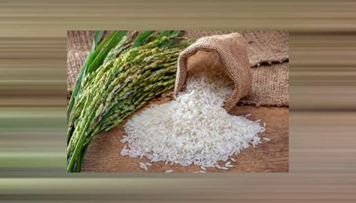 Pakistan, India floods expected to push basmati prices higher