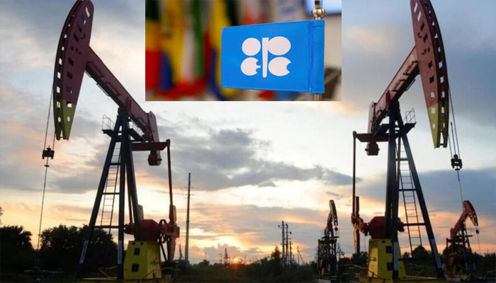UAE exits OPEC and OPEC+ amid oil crisis