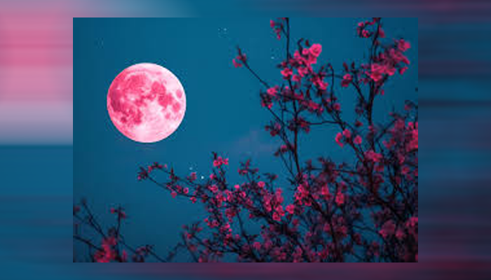 Pink ‘Micromoon’ to grace the night sky on April 12