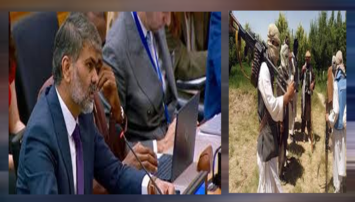 Pakistan urges UN to tackle illicit arms fueling terrorism