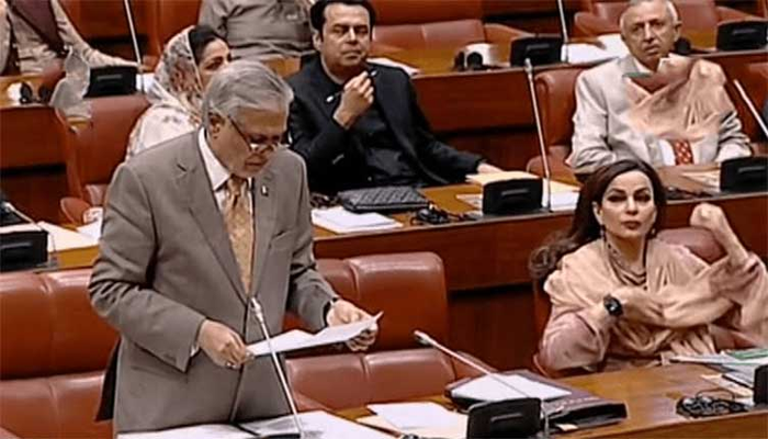 Senate rejects India’s Pahalgam attack allegations