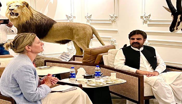 British high commission delegation meets energy Minister Nasir Shah
