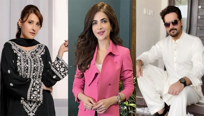 Pakistani celebrities express grief On Humaira Asghar’s death