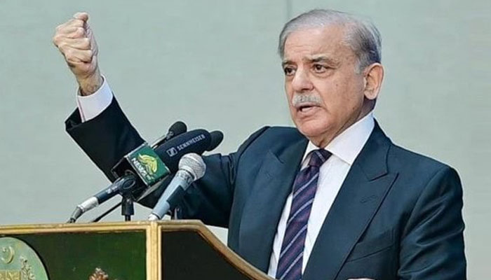 PM Shehbaz says Pakistan taught India an unforgettable lesson