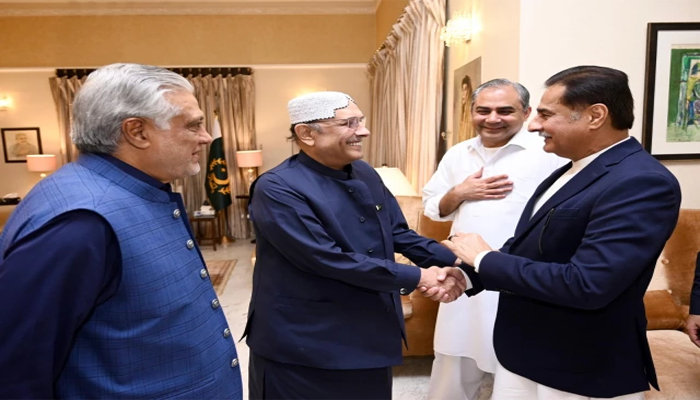 Zardari, Dar meet to ease PPP-PML-N tensions