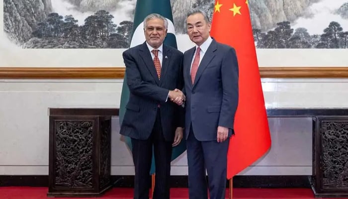 China vows unwavering backing for Pakistan after India dispute