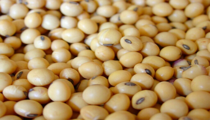 US Cotton, Soybean imports likely to rise in Pakistan