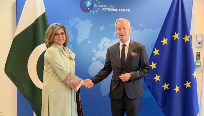 Pakistan, EU enhance strategic ties in Brussels meeting