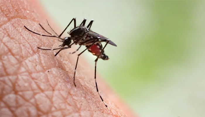 Malaria surge in Hyderabad