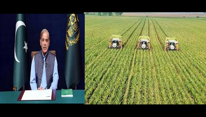 Pakistan to send 300 agri grads to train in China: PM Shehbaz