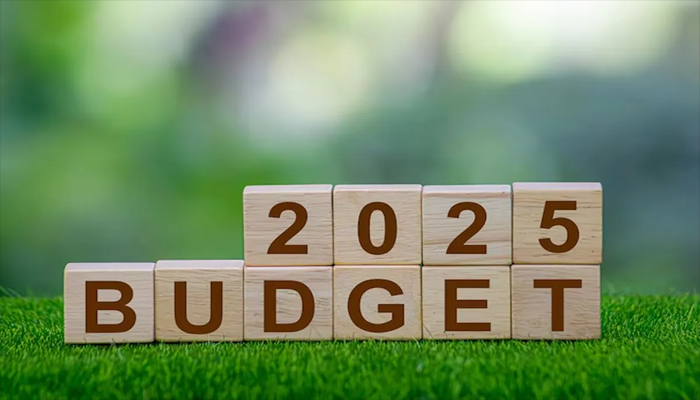 Budget 2025 blues or break?
