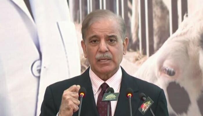 IMF programme wasn’t possible without China’s support: PM
