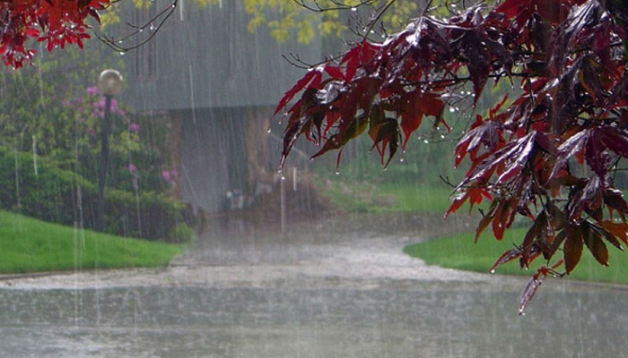 Rain, thunderstorms to lash Pakistan