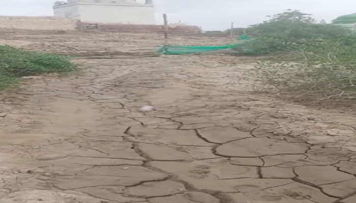 Fake graves planted to sabotage shrine of Bibi Maham (SA), Zaireen committee demands action