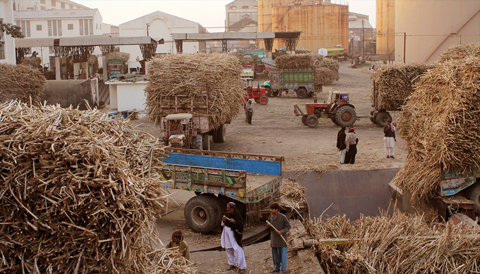 PAC demands names of sugar mill owners from FBR